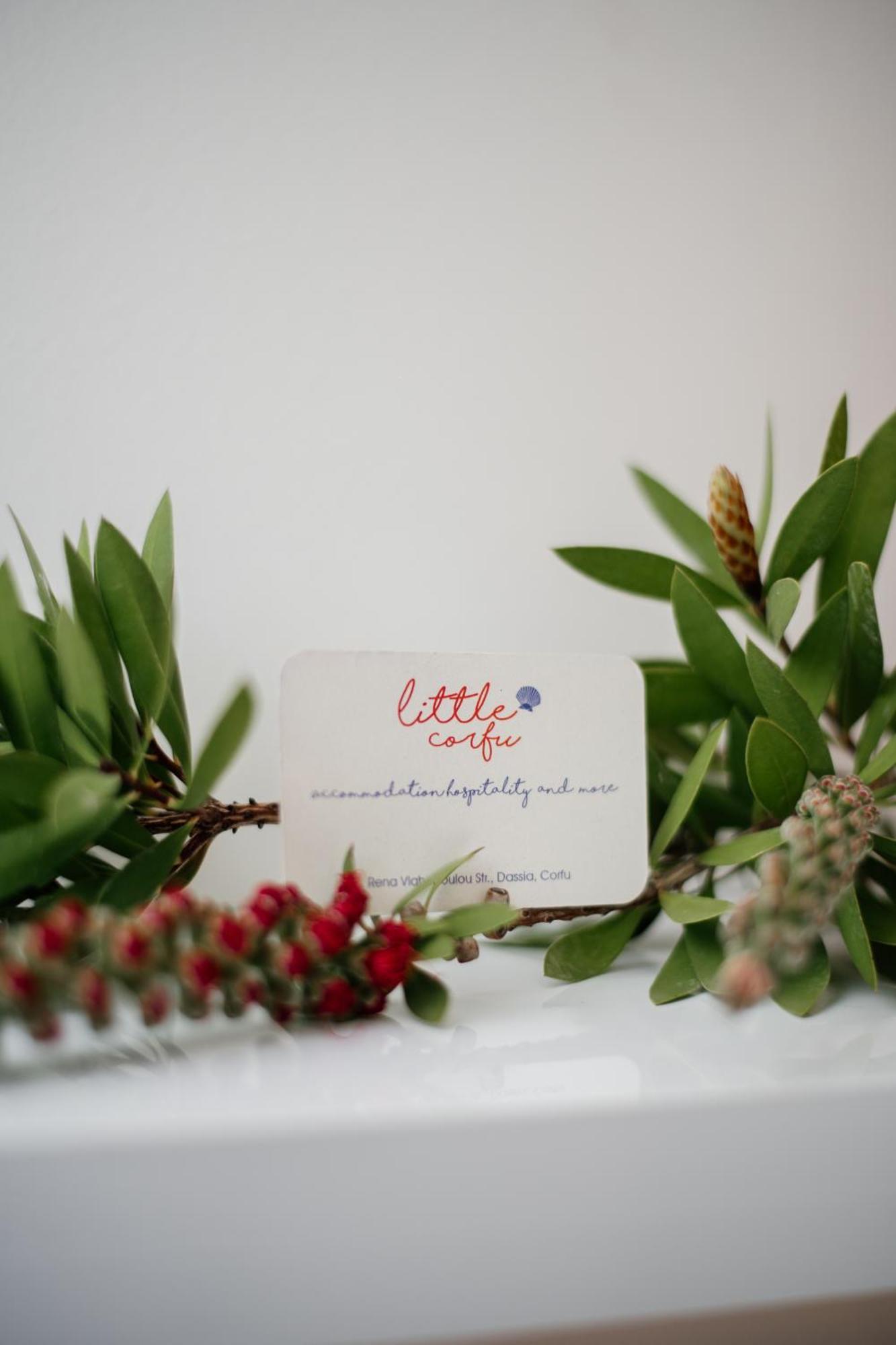 Little Corfu Aparthotel Дасия Екстериор снимка